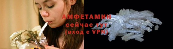 прущие грибы Беломорск
