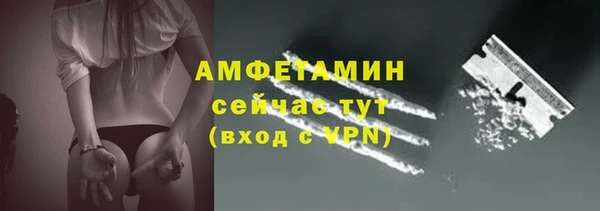 прущие грибы Беломорск