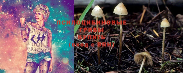 прущие грибы Беломорск