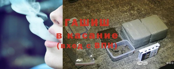 прущие грибы Беломорск