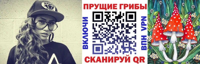 купить наркоту  Владивосток  Галлюциногенные грибы Cubensis 